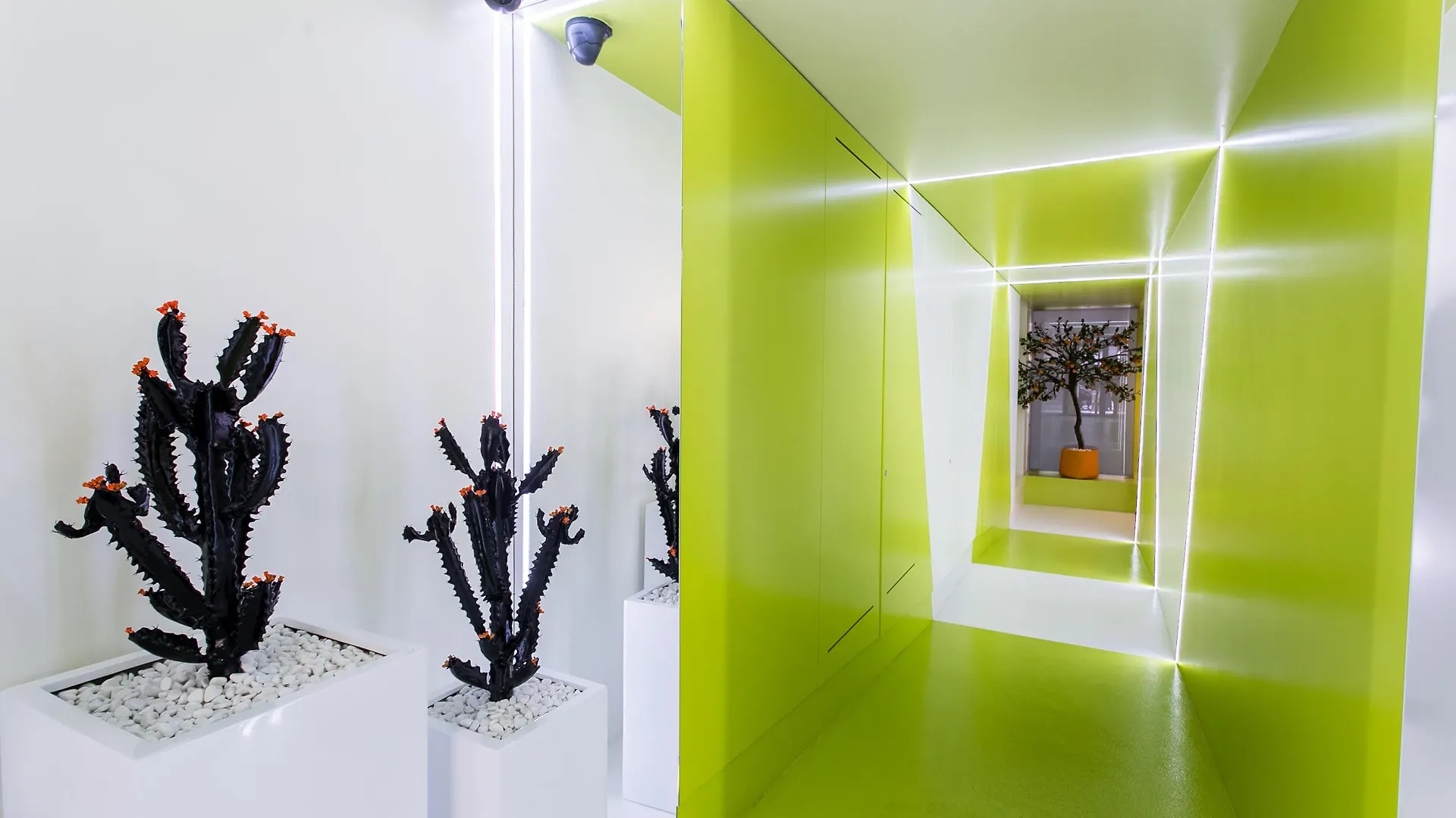 Cosmo Apartments Passeig De Gracia Barcelona Spain